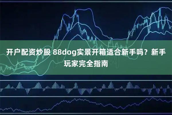 开户配资炒股 88dog实景开箱适合新手吗？新手玩家完全指南
