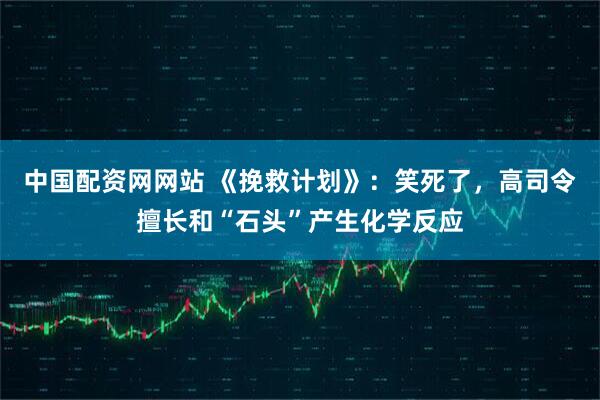 中国配资网网站 《挽救计划》：笑死了，高司令擅长和“石头”产生化学反应